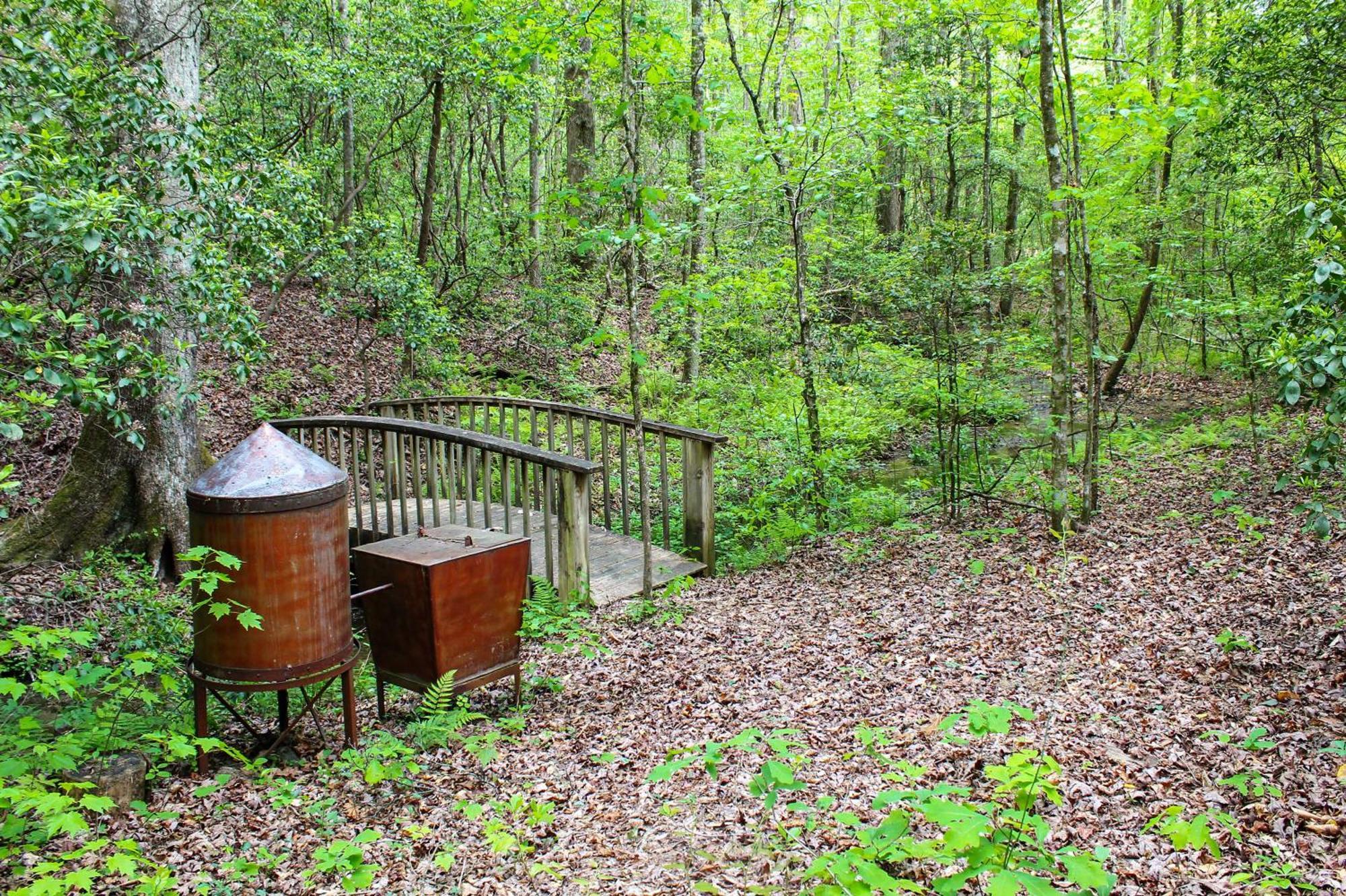 Sautee Nacoochee Mtn Paradise With Spacious Deck! 外观 照片